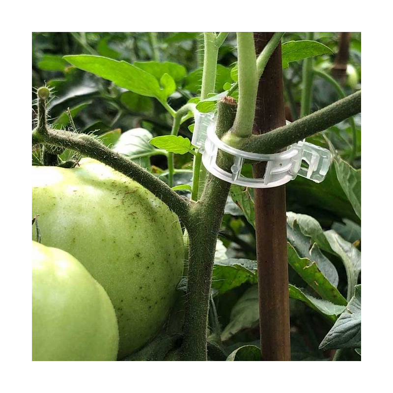 Set 100 bucati clips pentru palisat legume (castraveti, tomate, ardei)